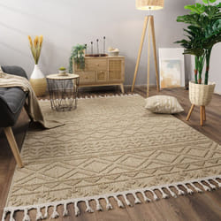 Paco Home - Tapis Salon Chambre Adulte Poils Ras Motif Boho Motif Scandinave Franges 80x150 cm, Beige