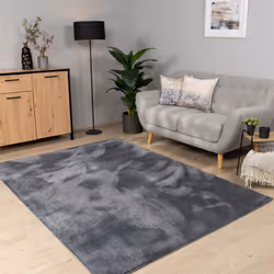 Il suffit parfois d’un petit quelque chose pour donner un coup de frais à une pièce. Un nouveau tapis embellit facilement une ...