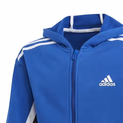 Sweat à capuche junior adidas Bold Full-Zip - Bleu royal/bleu marine - Enfant - Homme