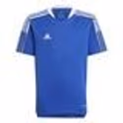 Maillot de football - ADIDAS - Tiro21 - Enfant - Manches courtes - Respirant - Bleu royal