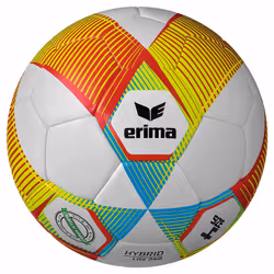 Ballon Erima Hybrid Lite 350