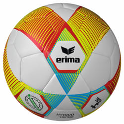 Ballon Erima Hybrid Lite 350