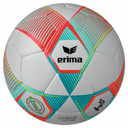 Ballon Erima Hybrid Lite 290