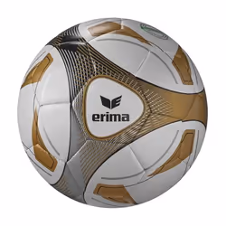 Ballon Erima Hybrid Training