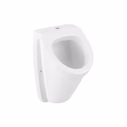• Matériau : Céramique • Couleur : Blanc • Posé au sol • Dimensions (l x H x P) : 320 x 545 x 340 mm • Poids : 14,6 kg • Y co ...