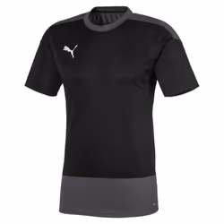 Maillot Puma Team goal training