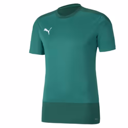 Maillot Training Puma Teamgoal 23