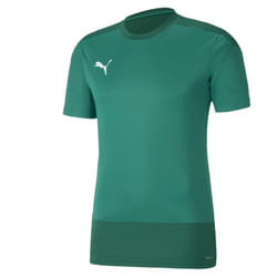 Maillot Training Puma Teamgoal 23