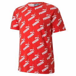 Vêtements Homme T-Shirts Puma Amplified All Over Print