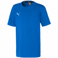 T-shirt enfant Puma Team Goal 23 Casuals