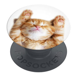 Support de téléphone - Popsockets PopGrip - Basic Snoozy Cat
