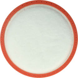 vhbw Filtre pré-moteur compatible avec Dirt Devil DD2620, DD2620-0, DD2620-1, DD2620-2, DD2620-3 aspirateur - Filtre de protection du moteur