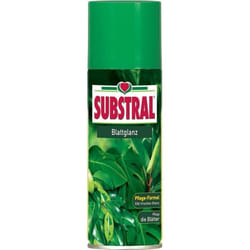 Substral Éclat De Feuille Spray 200ml Feuilles Brillant