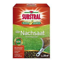 Le sursemis 400 g - Substral