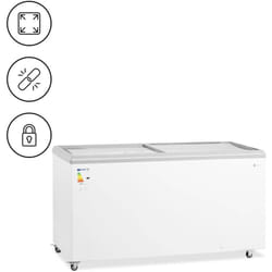 Royal Catering - Congélateur vitré 450 l verrouillable Congélateur professionnel