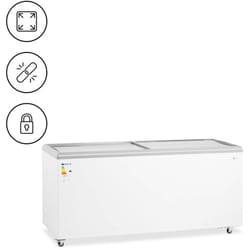 Royal Catering - Congélateur vitré 550 l verrouillable Congélateur professionnel