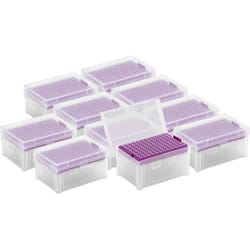 Pointes de pipettes - 10 µl - Sans DNAse/RNAse - en boîte pour pointes de pipettes - 10 x 96 pièces