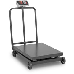Chelle de plate-forme - 1 000 kg / 200 g - Affichage led roulable