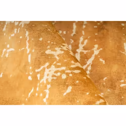 Padiro Dolce Vita 225 Intérieure Tapis de sol Rectangle Viscose Or