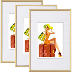 Woltu - 3 x Cadre Photo en Plastique Mat, Cadre de Photo Or 30x40cm New Life Style BR9864gd-3