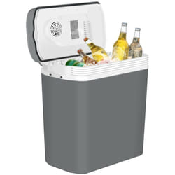 Glacière électrique Mini Réfrigérateur 22L Isotherme Chaud/Froid, 12V et 230V pour Voiture et Camping, Gris - Woltu