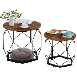 WOLTU Lot de 2 Tables Basses Gigognes Table de Salon Cadre Noir en Métal Style Industriel Chêne Vintage+Noir BTS05hov