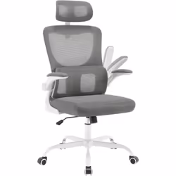 Équipé d'un dossier haut en maille et le support lombaire incurvé, WOLTU chaise de bureau ergonomique épouse parfaitement vot ...