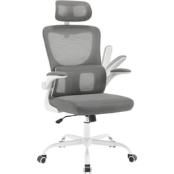 Woltu - Chaise de Bureau Ergonomique, Chaise Pivotante sur roulettes, avec Fonction Inclinable, Appui-Tête Réglable, Accoudoirs Relevables, en