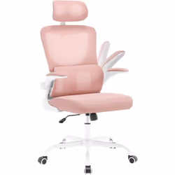 Équipé d'un dossier haut en maille et le support lombaire incurvé, WOLTU chaise de bureau ergonomique épouse parfaitement vot ...