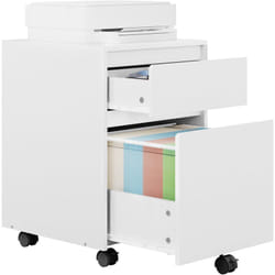 WOLTU Caisson de Bureau avec 2 Tiroirs, Armoire à Dossiers sur roulettes, Meuble de Rangement, en Bois d'ingénieur PB, 40x40x56cm, Blanc