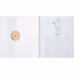 TESA Spaa support de douche Métal, Plastique Barre d'appui douche - Vue supplémentaire 7