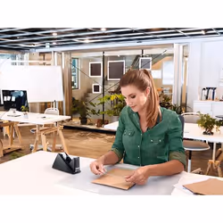 TESA Eco & Crystal Adapté à une utilisation à l'intérieur Adapté à une utilisation extérieure 10 m Transparent - Vue supplémentaire 4