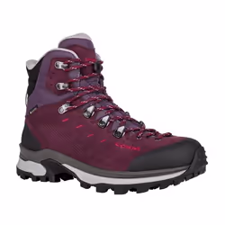 Chaussures Lowa Randir Mid Gtx 2217753051