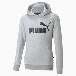 Puma Hoodie Essentials Gris Unisexe