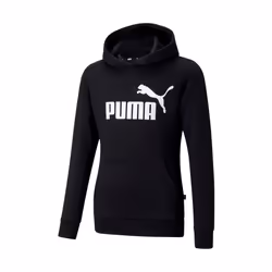 Hoodie Essentials Coton Noir