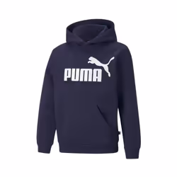 Hoodie Essentials Coton Bleu