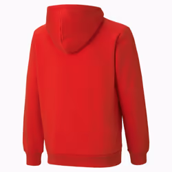 Puma Hoodie Essentials Rouge Unisexe