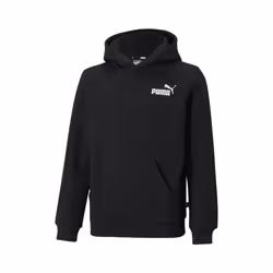 Sweatshirt à capuche enfant Puma Essentials Small Logo FL