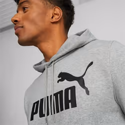Puma Hoodie Essentials Big Gris Homme