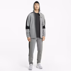 Puma Veste À Capuche Evostripe Gris Homme