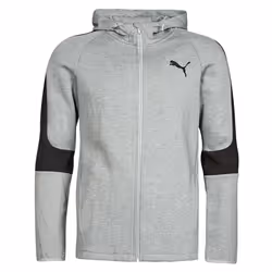 Puma Veste À Capuche Evostripe Gris Homme