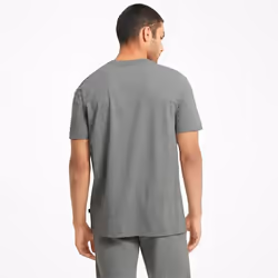 Puma T-Shirt Essentials Gris Homme