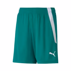 Short enfant Puma Team Liga