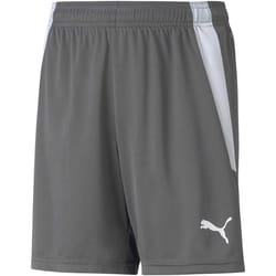 Short enfant Puma Team Liga