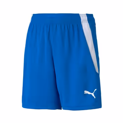 Short enfant Puma Team Liga