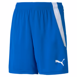 Short enfant Puma Team Liga