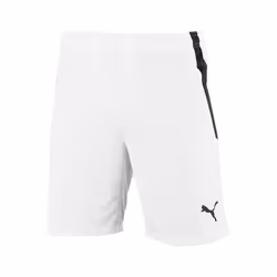 Short Puma Team Liga