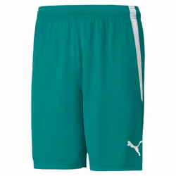 Short Puma Team Liga