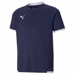 Maillot enfant Puma Team Liga