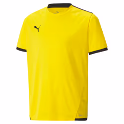 Maillot enfant Puma Team Liga